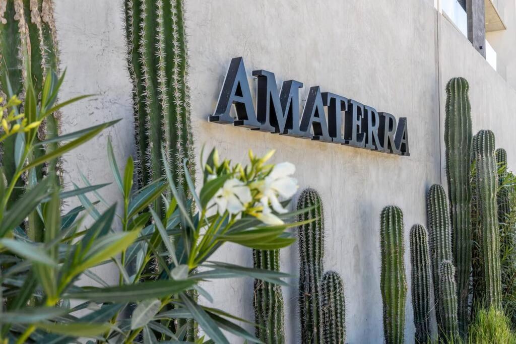 Endless Summer - 2Bed 2Bath Condo - Seasonly Heated Pool With Ocean Views - 5Min Walk To Beach - Fibre Internet - Sleeps 6 Cabo San Lucas Esterno foto